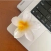 A модель (egg flower)