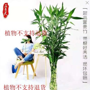 �Gֲˮ�฻�F��ˮ�B�^�����҃ȴ��ͻ���