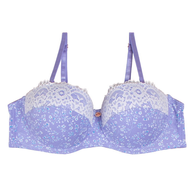 Europa y América comercio exterior ropa interior de encaje sexy, impresión de nylon transpirable, secado rápido, pecho pequeño, conjunto de sujetadores de damas.