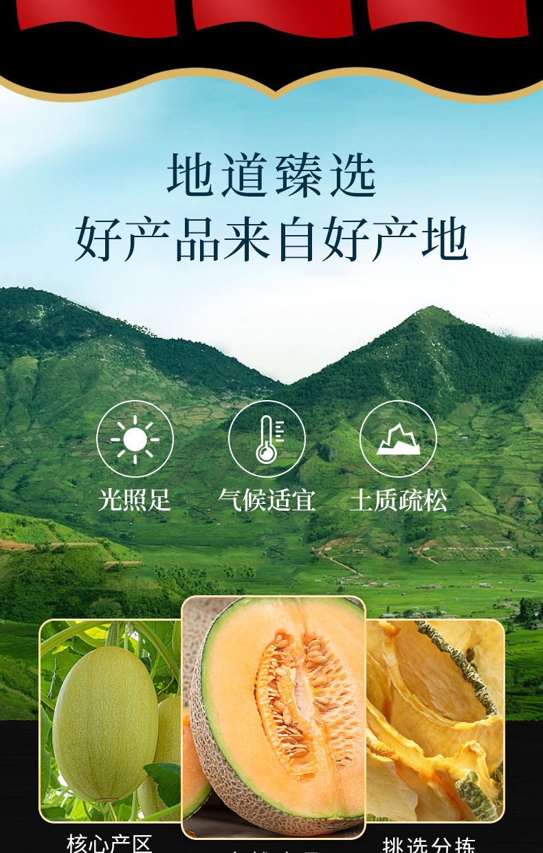 Hami Melon Dried Fruit (Cucumis melo var. saccharinus) — Sweet Dried Melon Slices & Dices key features