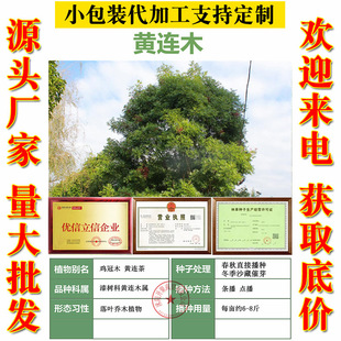 �S�Bľ�N���²Ƀ��|�S�Bľ��ͥԺ���@�е��G���^�~�L������ľ�N��