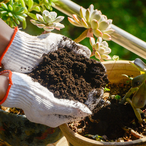 Fermented sheep dung organic fertilizer for landscaping flowers and plants, fermented and decomposed pure sheep dung, general purpose for fruit trees and vegetables