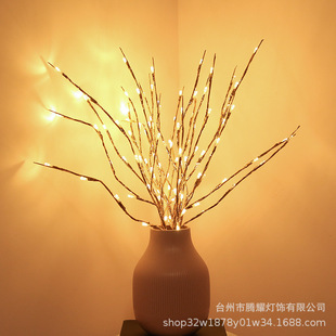 LED���²ʟ���ɫ��֦�����g�b����՟���֦�l��20�^�Ҿӻ�ƿ��