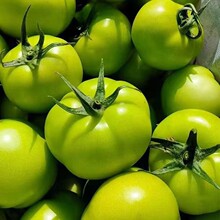 ɽ�|����С�������r��ɫ���щ۹⮔���GɫС�������t��һ�����l