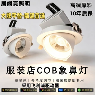 高端象鼻灯100开孔30W25W97显指服装店射灯嵌入式天花灯4500K
