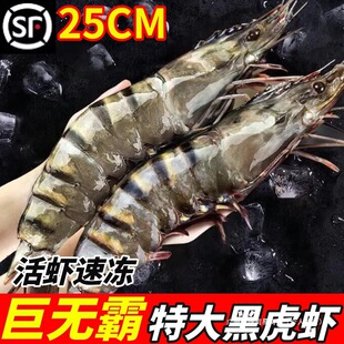 �ڻ��r�r����ϻ��r�ك��ش��r�����r�r�r���r�o����߾Ź��r