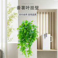 羳RdڒҾbGֲٷ~ٗl[ֲ