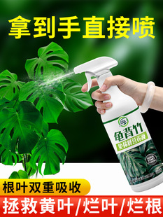 Dilution-Free Monstera Nutrient Solution Fertilizer Monstera Fig Leaf Green Plant Potted Plant Universal