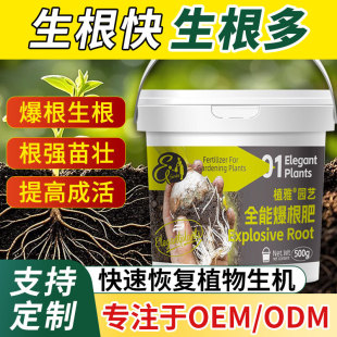 ȫ�ܱ����ʏ����ٸ���������ˮ��Ǥ��ͨ������ľ�Gֲ����������