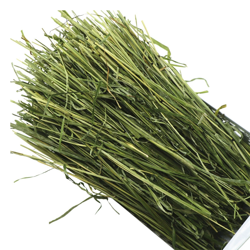 Сушёная трава тимофеевки Tender Grass Section 500 г Коробка трава для кроликов ченчильская сено Производитель оптом