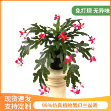 ֲзצm҃ȼҾb쾰[mϼٻGֲ