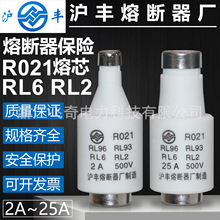����ʽ�۶���RL6-25 R021 500V 2A 4A 6A 10A 16A 20A 25A��о��
