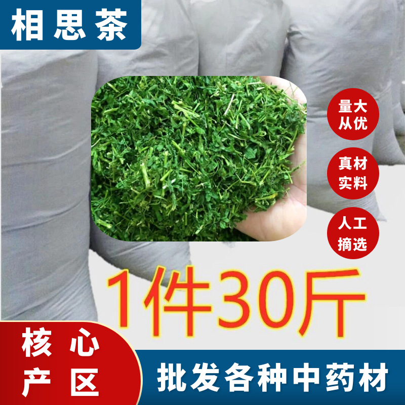 相思茶叶广西灵山特产相思茶 灵山正品相思藤茶特级新货正宗茶叶