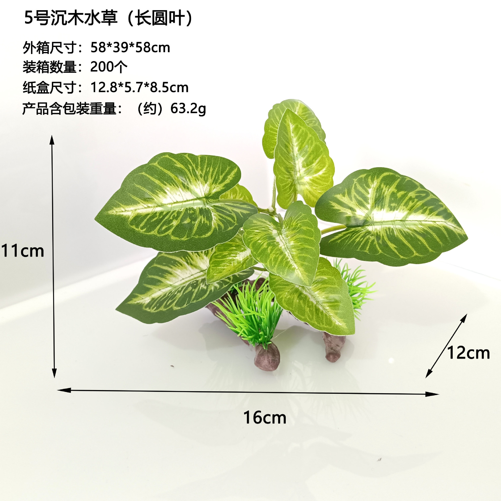 No. 5 madera hundida y hierba de agua (hojas largas y redondas)