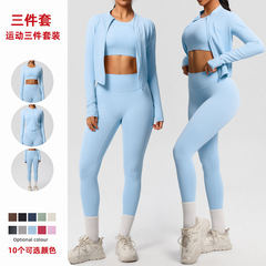 欧米のクロスボーダーのヨガのズボンの高い腰の裸感の運動のファスナーの長袖のコートのフィットネスの服のヨガの3つのセット