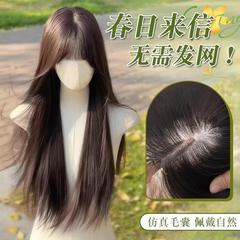 【簡易無料ヘアネット】ヘアネットを着用せずに頭全体をカバーする女性用ウィッグ、気質を補う黒のロングストレートウィッグ