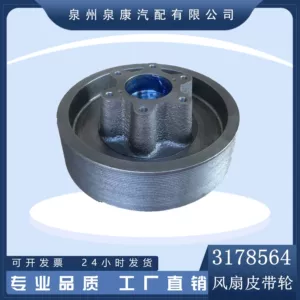Quanzhou zavodu 3178564 ventilyator şkivi