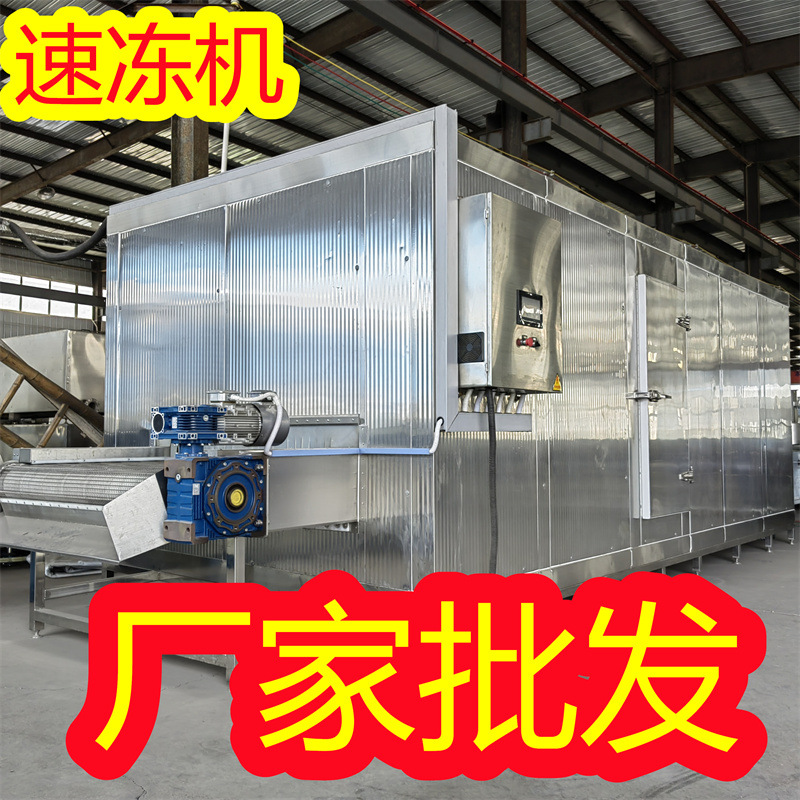 菠萝蜜隧道速冻机 流态化水果蔬菜单冻设备 流态化速冻机厂家批发