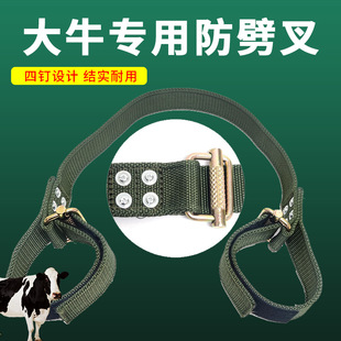 ������ ţ�÷����控��ţ������վ�������������߽����o����ţվ