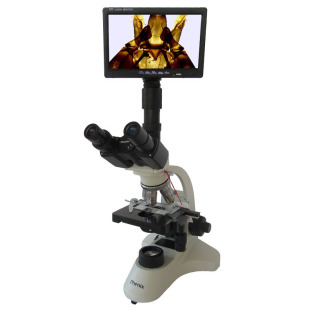 �����P�˹�W�pĿ������Ŀ�@΢�RPH50-3A43L-PLѪҺˮ�a