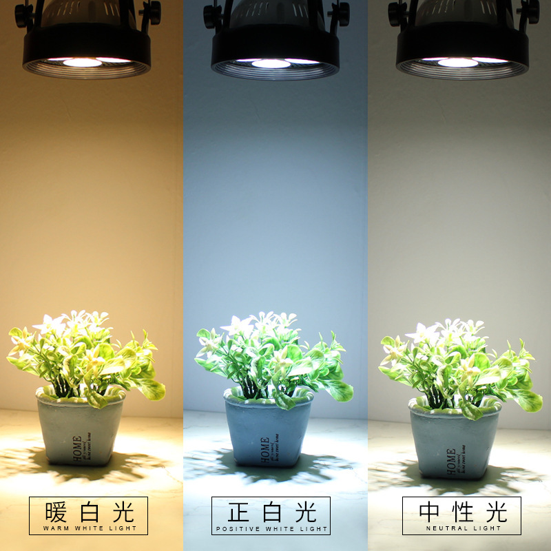 LED Spotlight par30 Track Light Tienda de ropa Salón de exposiciones Tienda comercial 30W Super Brillante Ahorro de energía 40W Luz de guía de montaje abierto