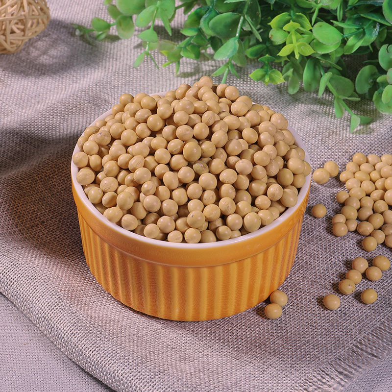 Senzhuang agricultural products pudding bean curd powder 50g home-made tofu curd special powder can be cooked without cooking tofu curd powder instant meal