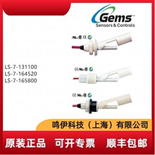 LS-7-131100 LS-7-164520 LS-7-165800����Һλ����LS-7ϵ��GEMS