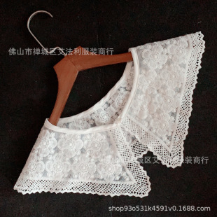 Sweet Lace Decorative Breathable Fake Collar Spring and Summer Simple Korean Style Atmospheric Age-Reducing Clothing Women's All-Match Shawl Outer Wear