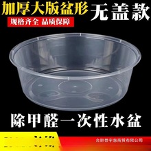 除甲醛一次性水盆 无盖一次性餐盒 小龙虾一次打盒 外卖