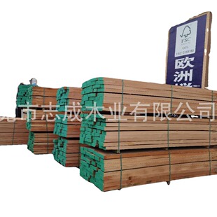 �F؛ֱ�N�W�ޙ�ľ���FSCɭ���J�C�W�ްי�ľ�t��ľ