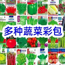 蔬菜种子组合彩包种籽四季种植室内阳台盆栽室外田园多种蔬菜种籽