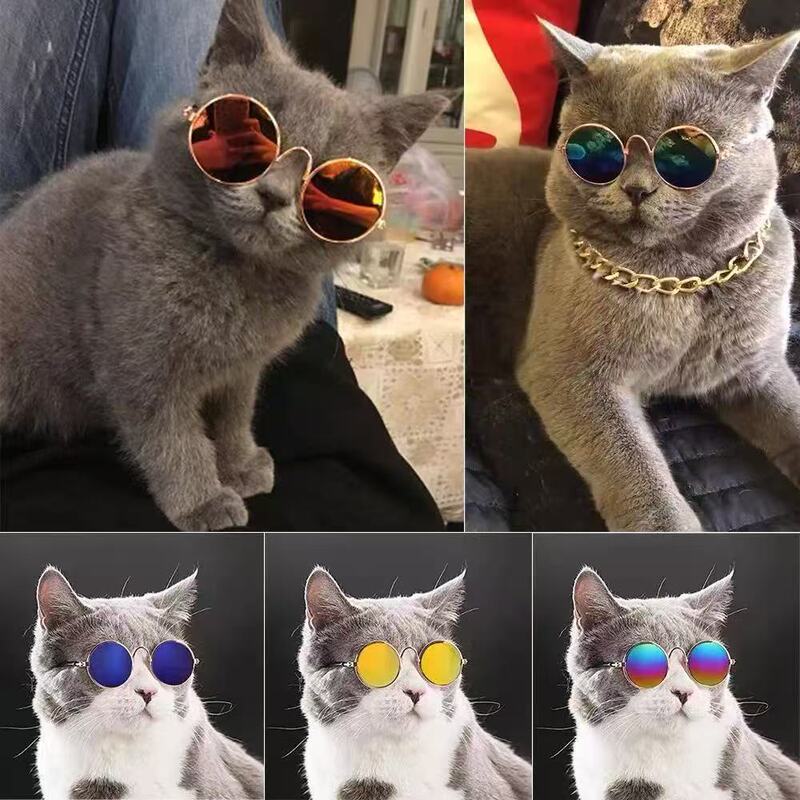 时尚宠物猫咪太子镜狗狗拍照眼镜配饰毛绒玩具网红太阳镜创意墨镜|undefined