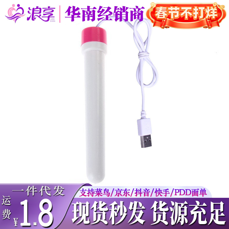 USB heating rod