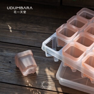 Udumbara��͸��5cm�غ񰫷����⻨�����ˮ�бP���粥�N�����B��