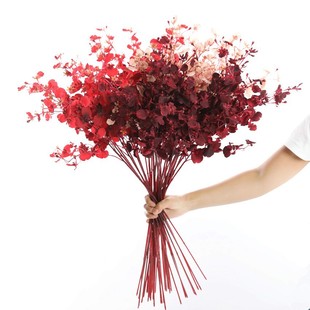 ���滨�������������m �ٻ��m���껨 �����m�Ҿ��b�c��t����