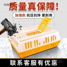 加厚特大周转筐鸭鹅运输鸡筐成鸡鸽子笼家用鸡笼鸡笼子塑料麦太保