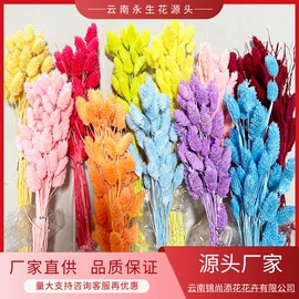 鲜花花艺制品;永生花;干花