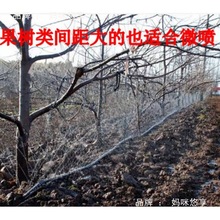 �r�� �ι�6�� 1�� ��ˮ�� ΢���� ��ˮ������ �ι��� ��� ��ˮ