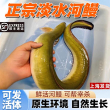 ʮ��𒵭ˮ�����~�r����X�~���w��S�������r������Ϻ��l؛