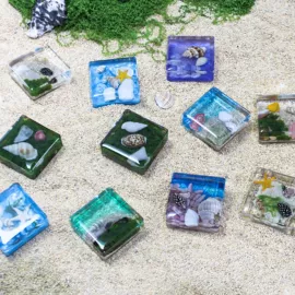 树脂工艺品;生物教学器材;标本