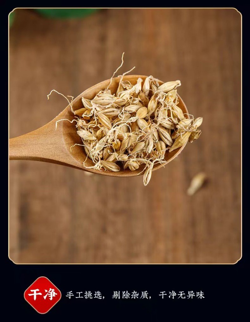 Malt (Hordeum vulgare) — Dried Food-Herb Barley Sprout, 500g quality and texture