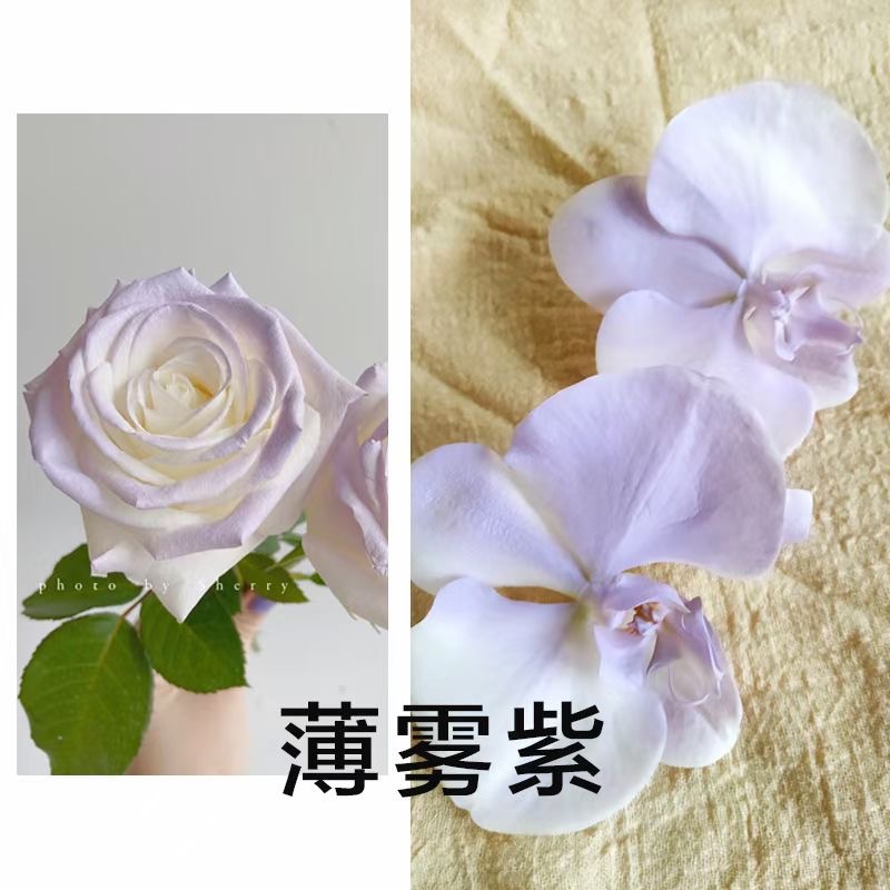 Internet celebridad ciruela negro rosa púrpura flores autopintadas agente de pulverización de color tinte floral spray colorante