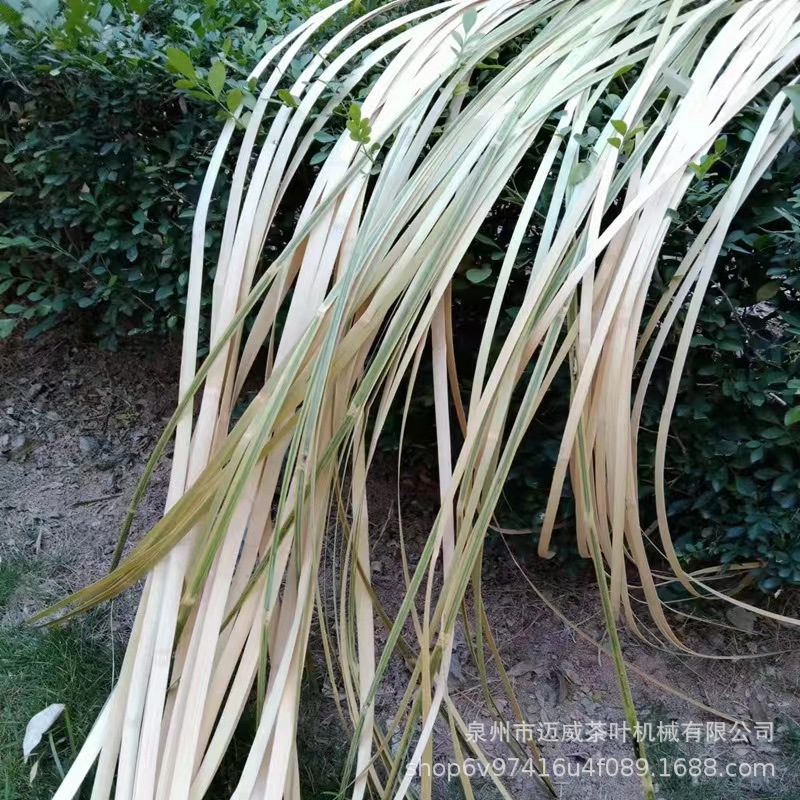 竹编竹片竹篾条软竹条竹艺花艺装置婚庆展厅装饰创意设计-阿里巴巴
