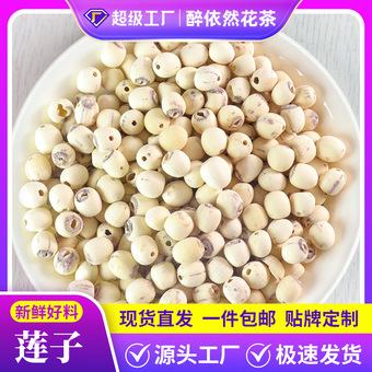 批发新货磨皮去芯莲子中药材正品干货莲子无芯药食同源白莲煮粥煲