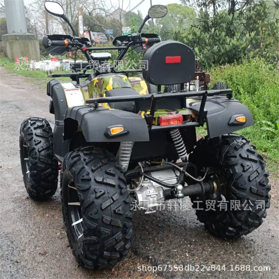 Прямые продажи с завода электрический четырехколёсный привод 3000W большой бык пляжный автомобиль UTV, четырехколёсный привод, бензиновый ATV, внедорожный мотоцикл