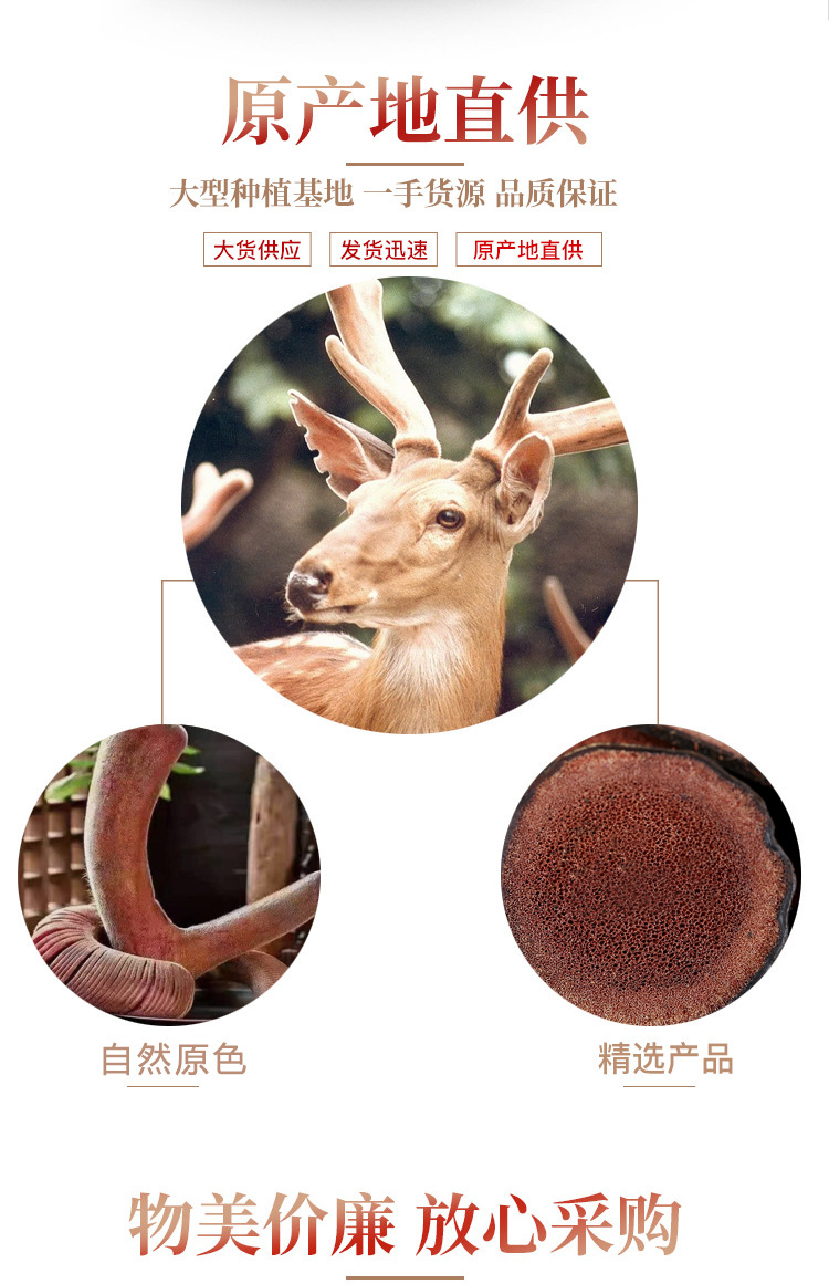 Deer Antler Slices Lu Rong 鹿茸片 Dried Slices for Wine Infusion and Soup 100g Wax Slices Pack specifications
