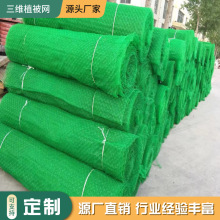 ���Sֲ���W�S��ֱ��EM2�G�������o��ֲ�ݾW �ӽ����S�����W�|