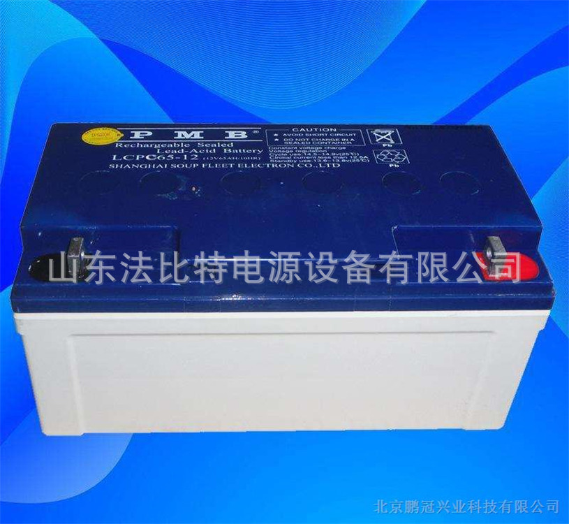 PMB铅酸蓄电池12V200AH太阳能路灯LCPA200-12含税包运