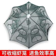 ���~�W�O�\�r�\���r�W�S�X���q���r�W�\ֻ�M�����O�W�O��