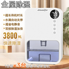 ��ʪ�����ð뵼���ʪ�����Ҿ�������ˮ��������ʪ�����ڷ�����ʪ